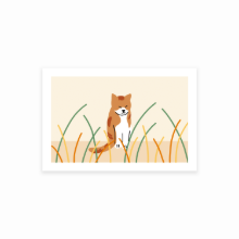 CAT IN THE GRASS postcard